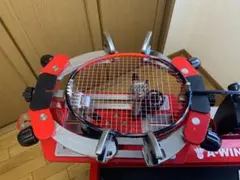 Item thumbnail for item 38abed89-5793-4b4c-b203-b35560278959