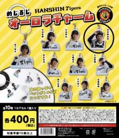 阪神タイガース アクセサリー