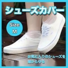 Item thumbnail for item 2d75725f-a96c-4725-92f8-a59f0470c5b0