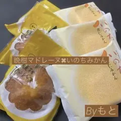 [天草晩柑マドレーヌ]天草晩柑を贅沢に使用3✖︎ラグノオささき]いのち杏仁みかん3のサムネイル
