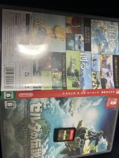 Nintendo Switch ティアーズオブキングダム