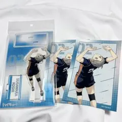 菅原孝支 アクリルスタンド ハイキュー