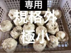 2026年最新】ゆり根の人気アイテム - メルカリ