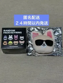 RUN IT JAPAN★ランダムフェイスキーリング★アイエン★フォクシニー