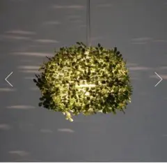 Item thumbnail for item 70e8156d-38bb-4074-8833-174d15e2679e