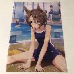 ウマ娘　ナリタタイシン　クリアファイル
