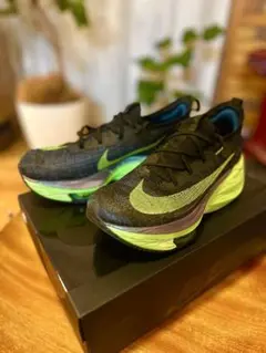 Nike ZoomX アルファフライネクスト% ブラック/グリーン