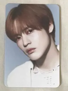 nct dream 2024 シーグリ　チョンロ　ラントレ　B MD