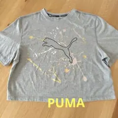 PUMA　レディース半袖ティーシャツ　着丈短かめのサムネイル