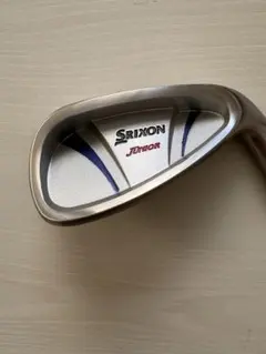 Item thumbnail for item 5ee23d3b-552b-42c7-8a5a-0046199110a9