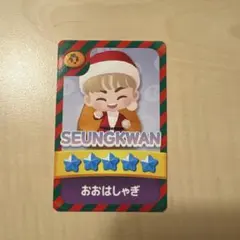 seventeen スングァン パズチ トレカ カード