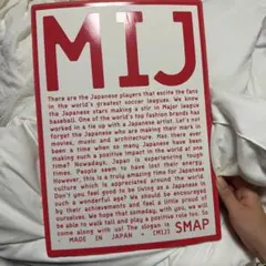 SMAP MIJ パンフレット　希少　レア　スマップ