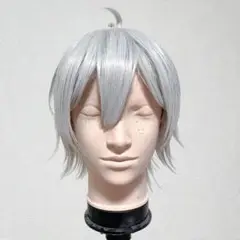2025年最新】シルバー コスプレ ツイステの人気アイテム - メルカリ