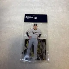 Item thumbnail for item 1797a769-5bd3-49bb-8bfd-86b4b4fa8d40