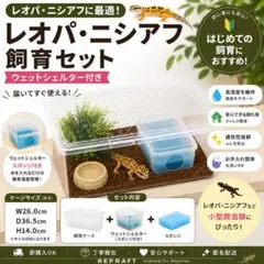 爬虫類ケージ シェルターのサムネイル