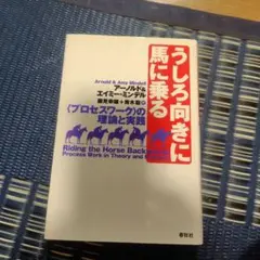 うしろ向きに馬に乗る : <プロセスワーク>の理論と実践