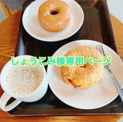 しょうこみ様専用ページ