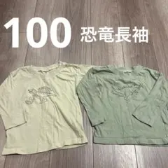 恐竜 長袖 2枚セット 100 保育園着