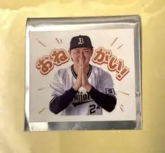 オリックス　選手スタンプ　クリアステッカー　24紅林弘太郎