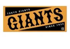 Item thumbnail for item 93b9e18d-6580-423b-bb29-fc607565c853