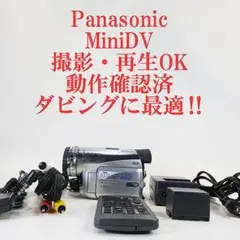 ソニー DCR-TRV5【動作確認済】MiniDVビデオカメラ ダビングに最適