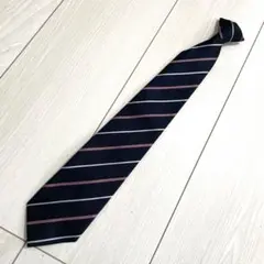 Item thumbnail for item 1565584e-6958-40bd-b1c1-c5bf81c433fd