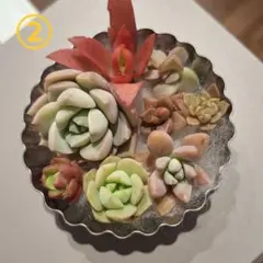 多肉の詰め合わせ　8種類②
