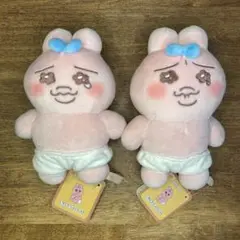 おぱんちゅうさぎ おてのりましゅもっち ×全種セット（2種）