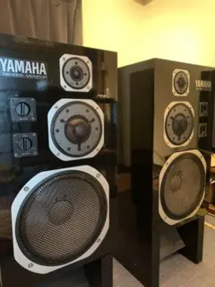 YAMAHA ns 1000Mのサムネイル
