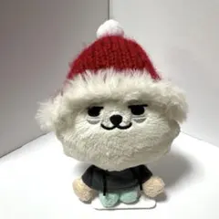 TXT プルバトゥ　ヨンモン　サンタ帽子 スビン