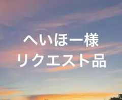へいほー様 リクエスト 2点 まとめ商品