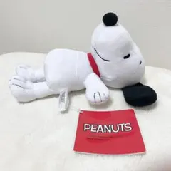 Item thumbnail for item a55cf78a-be49-480e-90bd-acf48e2122ef