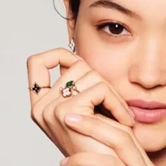 ルイヴィトン バーグ サン ブロッサム ミニ