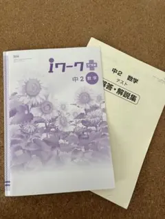 iワークプラス　中2 数学　教科書ワーク問題集　テキスト　更なるステップアップ