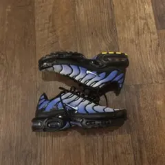 Nike Air Max Plus スニーカー 円堂守さん着用！！値下げ可能