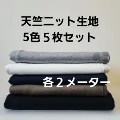 天竺ニット生地5色５枚セット