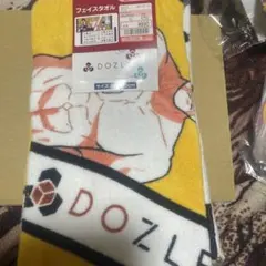 DOGinthePWO タオル2枚セット - メルカリ
