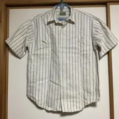 ストライプ半袖メンズシャツ AVENUVA (Ｆ)