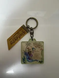 ファンタジースプリングス　ピーターパン キーチェーン