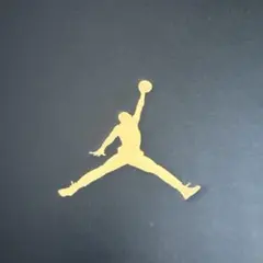 【新品】JORDAN COURTSIDE 23 26.5cm　ジョーダン