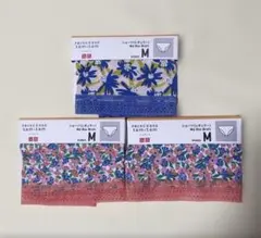 Item thumbnail for item b0f25017-c565-4837-b26b-696b93209e56