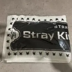 straykids スキズ マフラータオル 5star 東京ドーム