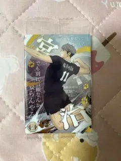 ハイキュー宮治