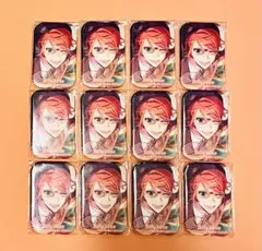 ＊10/12まで＊エリオス ビリー 缶バッジ12点セット