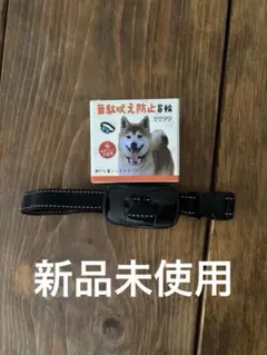 Item thumbnail for item a1bada83-d025-47fb-acf0-4b50792602ef