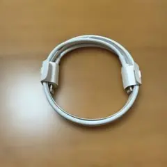 Apple 純正品 Lightningケーブル タイプC