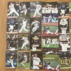 カルビー プロ野球 トレーディングカード セット