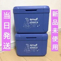 アヒルのペックル クーラーボックス - メルカリ