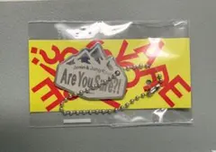 BTS Are You Sure?! 2 イゲマジャ キーホルダー ㊱のサムネイル