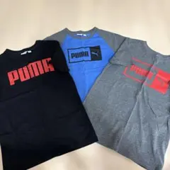 PUMA Tシャツ 3枚セット　10-12歳用